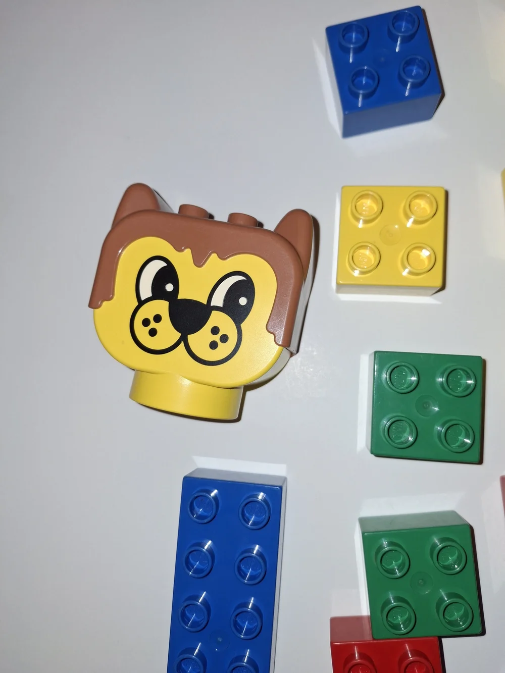 Lego colorful bricks